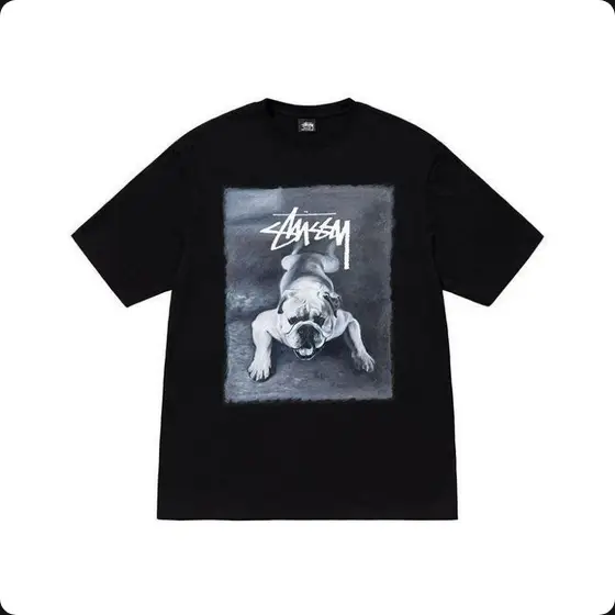 stussy t shirts (40 colors/models) 10/20