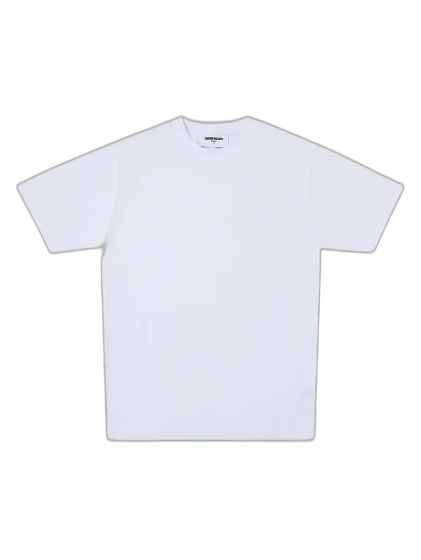 250gsm blank tee (2 colors)