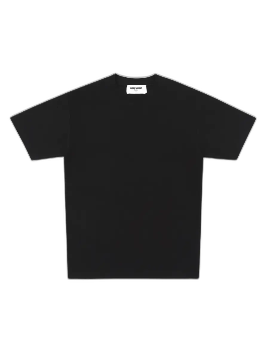 blank tee 250gsm (2 colors)